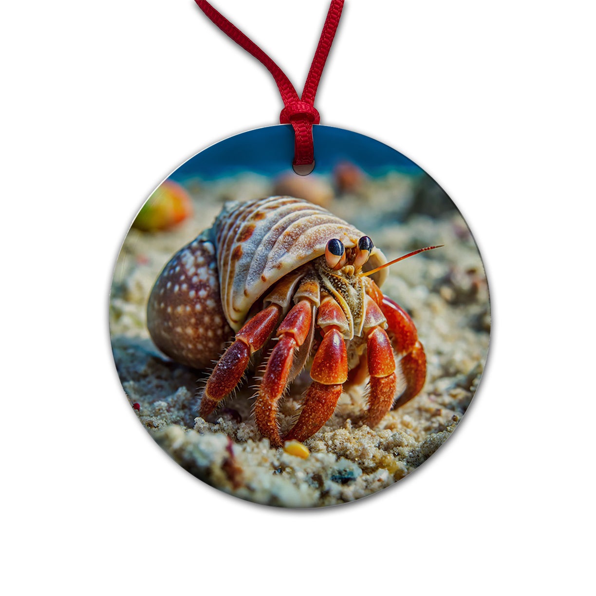 Hermit Crab in the Ocean Round Ceramic Holiday Christmas Tree Ornament