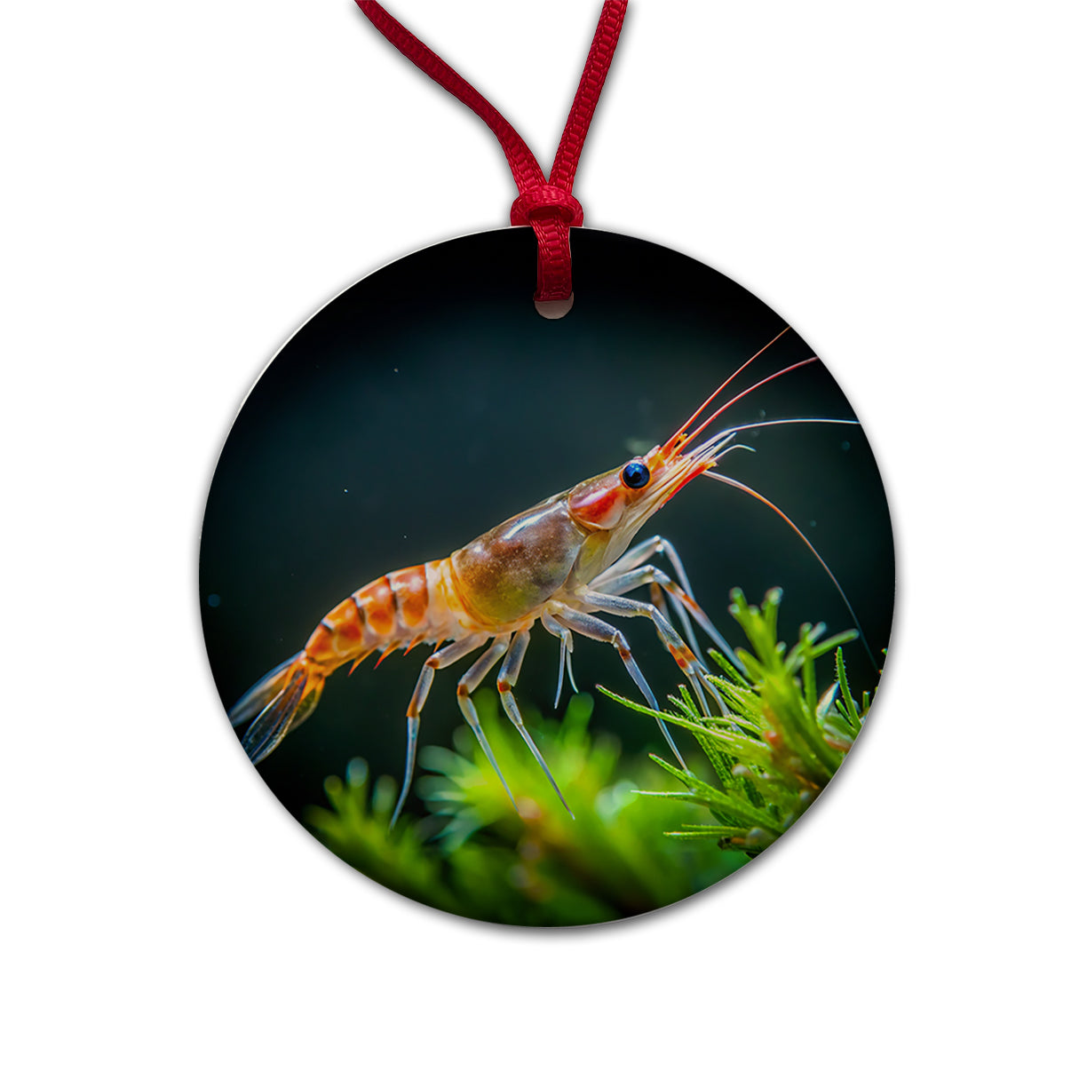 Shrimp Swimming Round Ceramic Holiday Christmas Tree Ornament