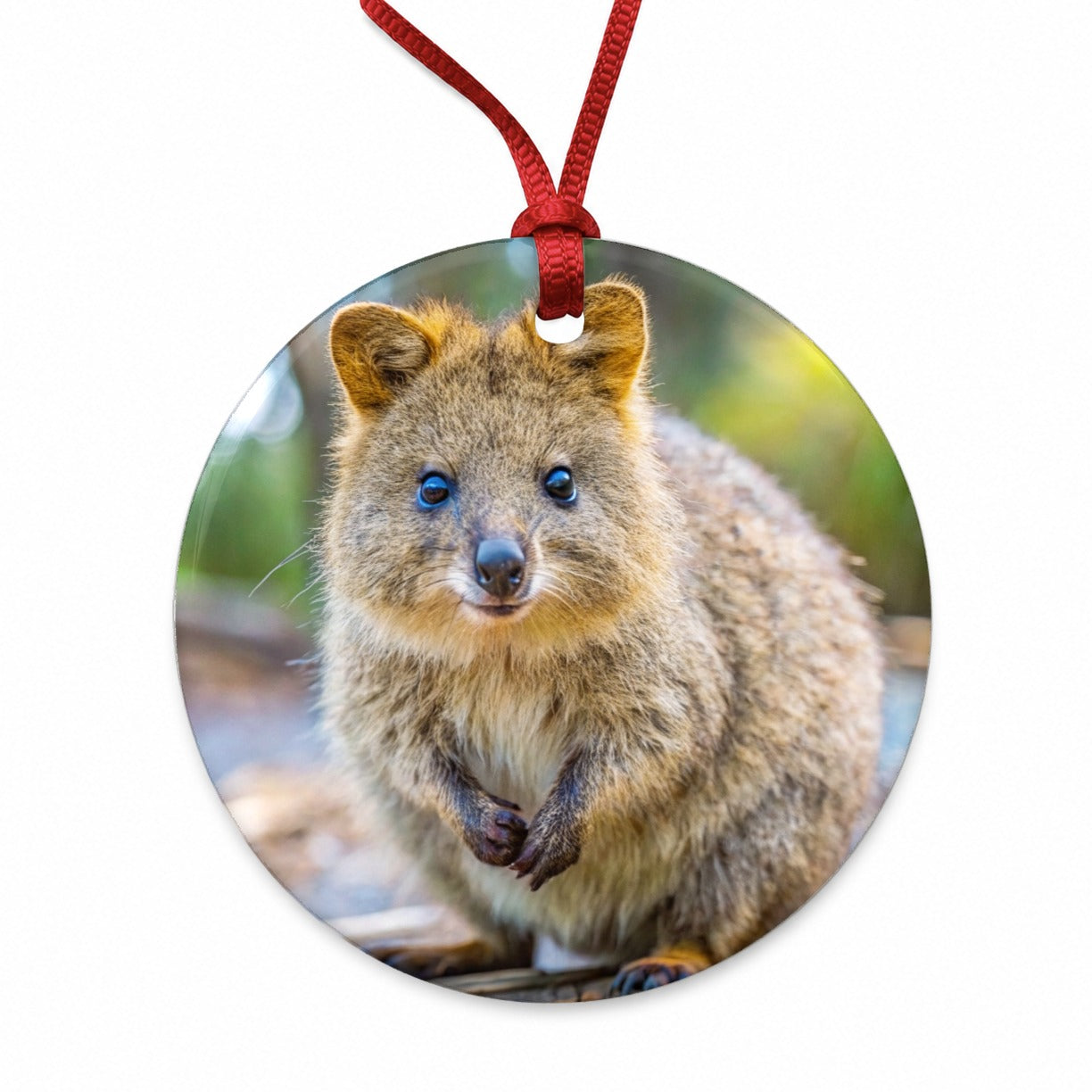 Quokka Photo Round Ceramic Holiday Christmas Tree Ornament