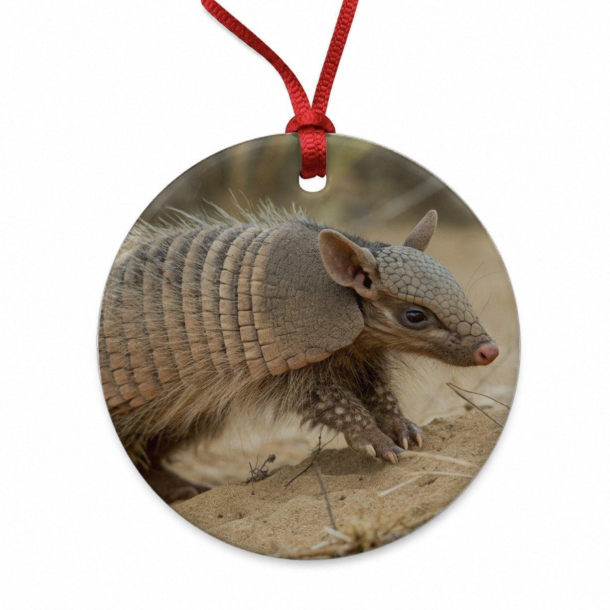 Armadillo in Nature Round Ceramic Holiday Christmas Tree Ornament