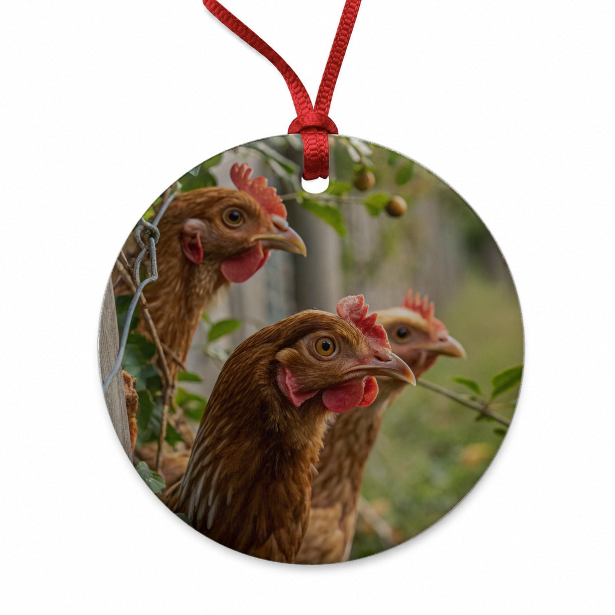 Backyard Chickens Farm Life Round Ceramic Holiday Christmas Tree Ornament