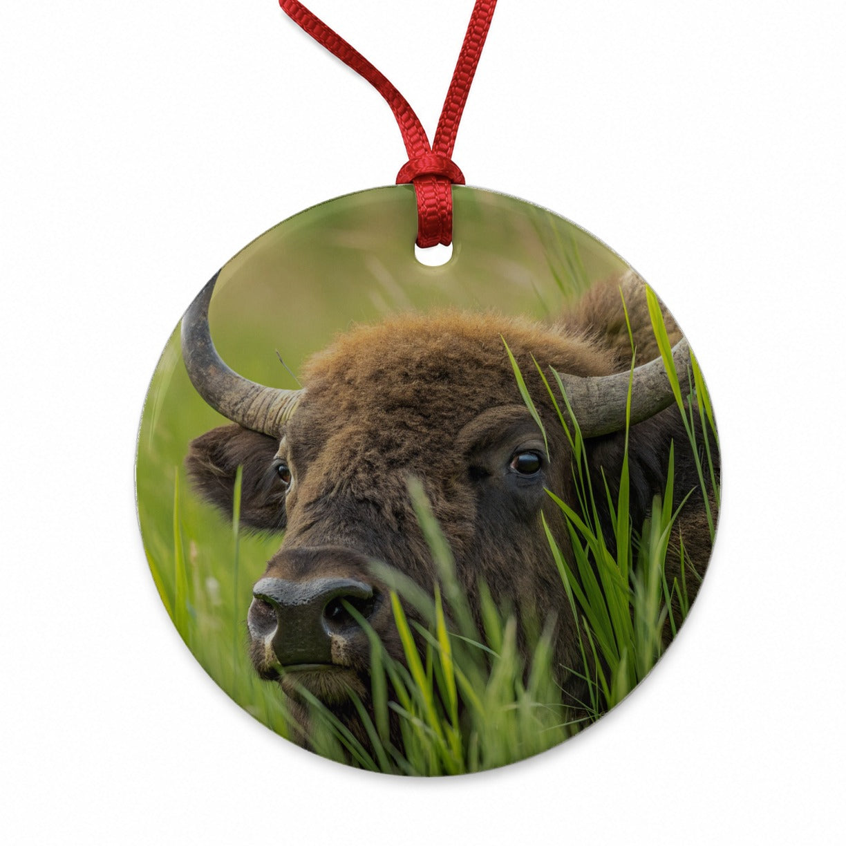 Bison Grassland Wildlife Scene Round Ceramic Holiday Christmas Tree Ornament