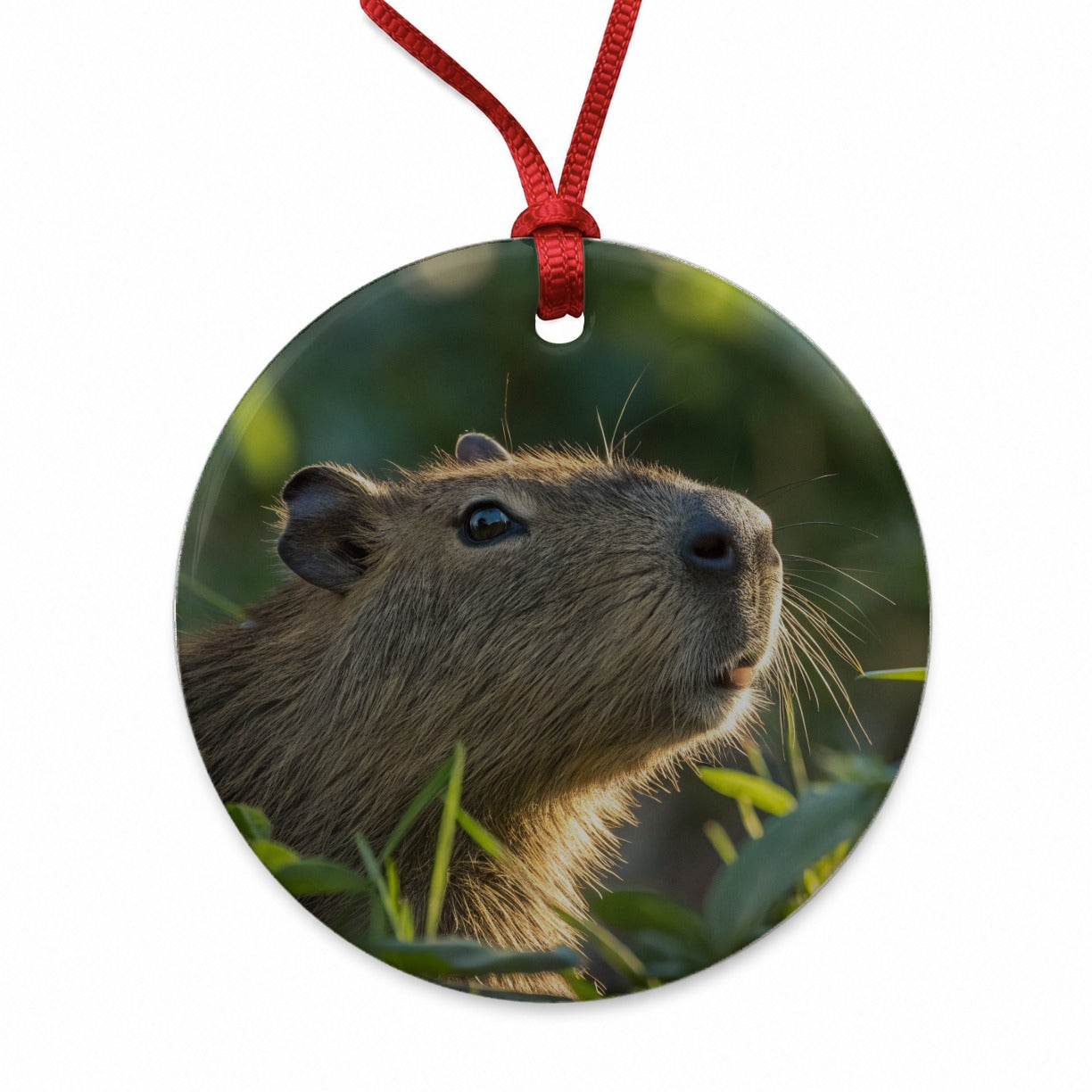 Capybara Wildlife Nature Scene Round Ceramic Holiday Christmas Tree Ornament