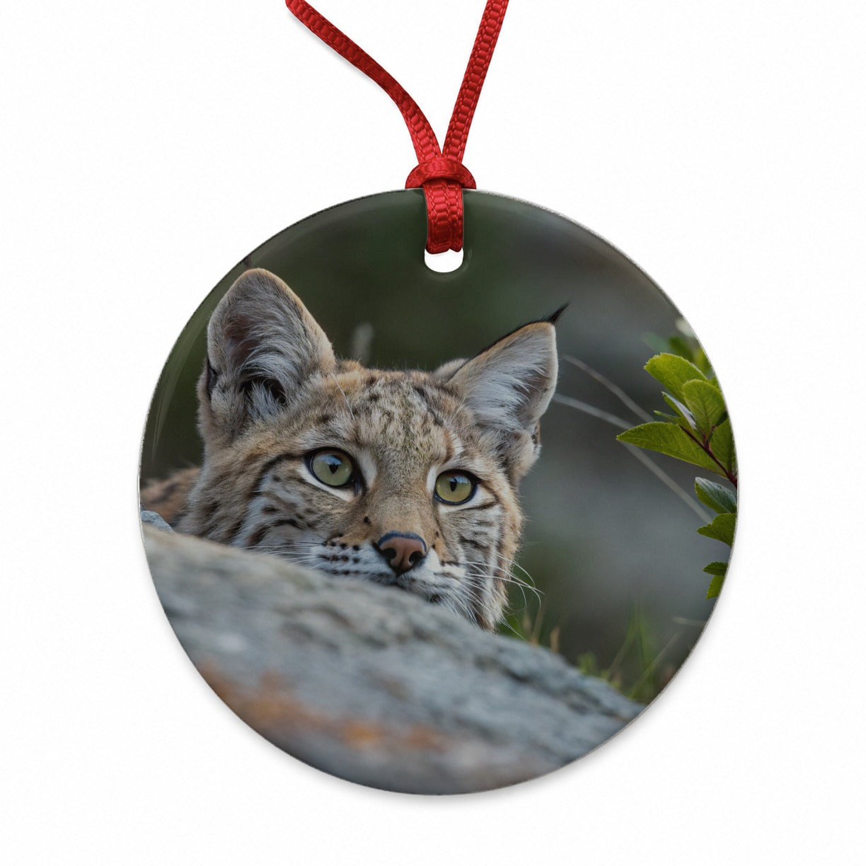 Watchful Bobcat Wildlife Nature Round Ceramic Holiday Christmas Tree Ornament