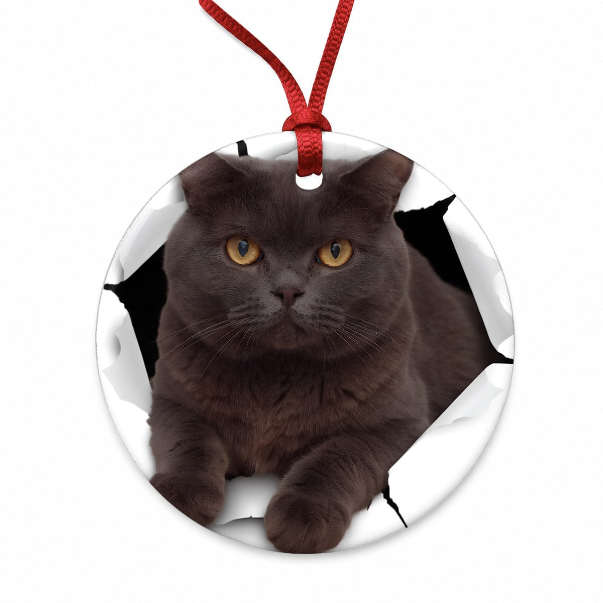 British Shorthair Cat Breakout Round Ceramic Holiday Christmas Tree Ornament