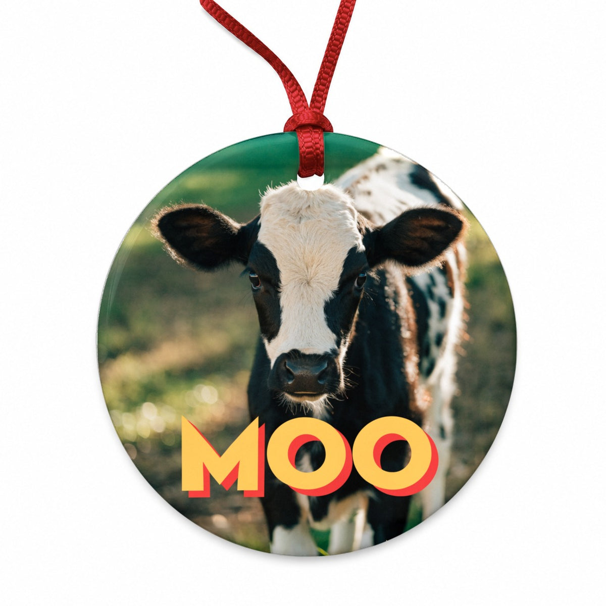 Moo Cow Funny Photo Round Ceramic Holiday Christmas Tree Ornament