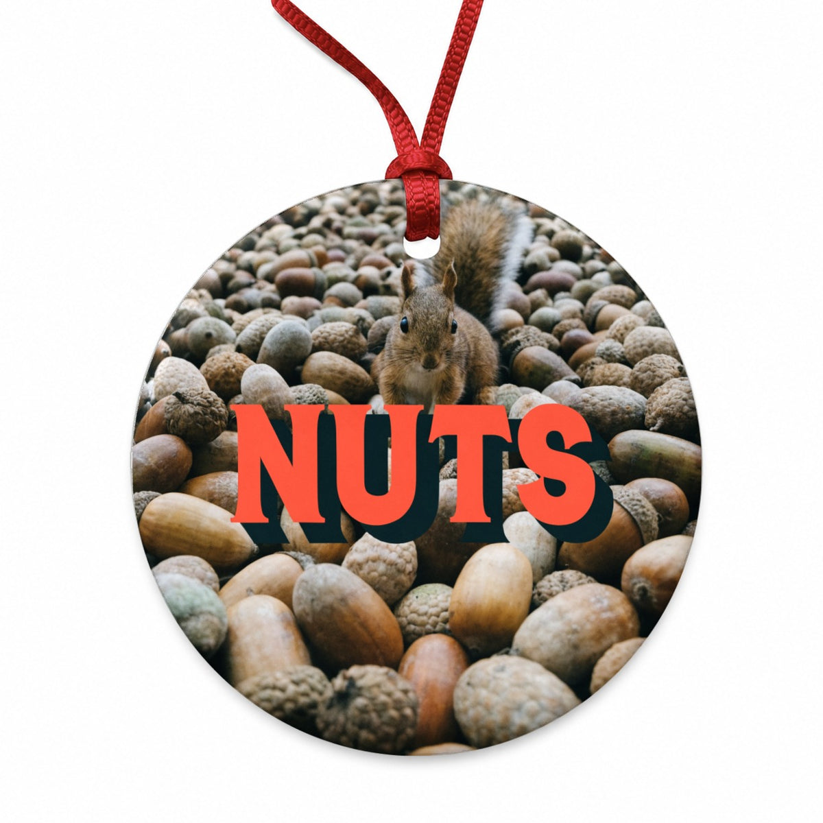 Nuts Funny Squirrel Photo Round Ceramic Holiday Christmas Tree Ornament