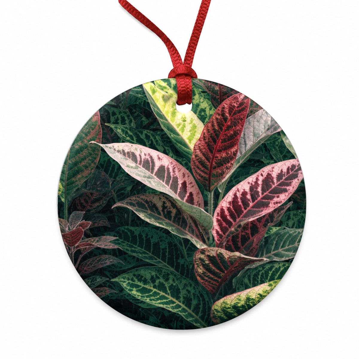 Prayer Plant Colorful Leaves Round Ceramic Holiday Christmas Tree Ornament