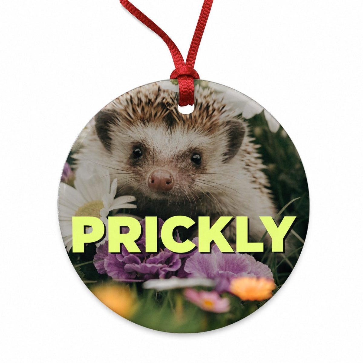 Prickly Hedgehog Adorable Funny Round Ceramic Holiday Christmas Tree Ornament