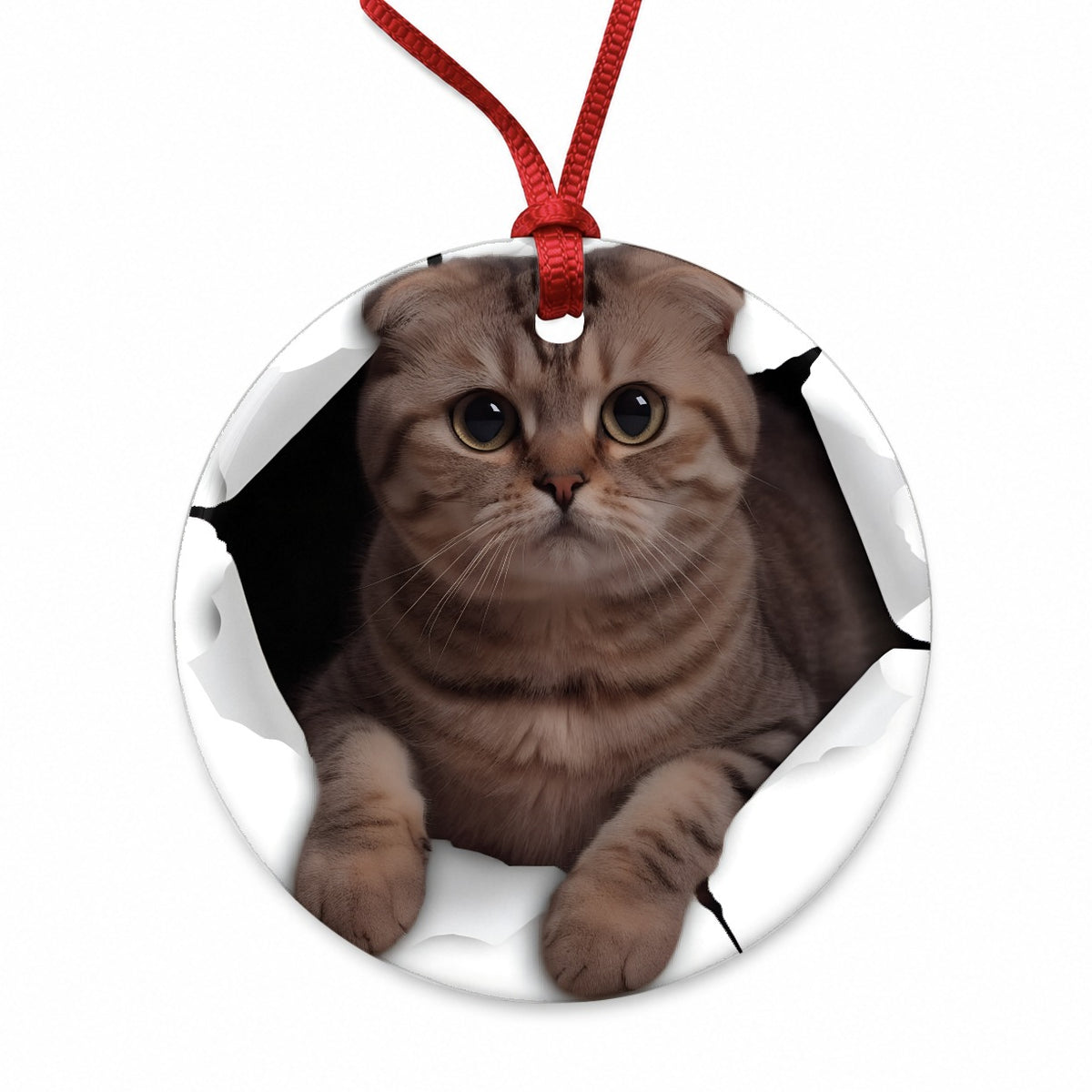 Scottish Fold Breakout Round Ceramic Holiday Christmas Tree Ornament