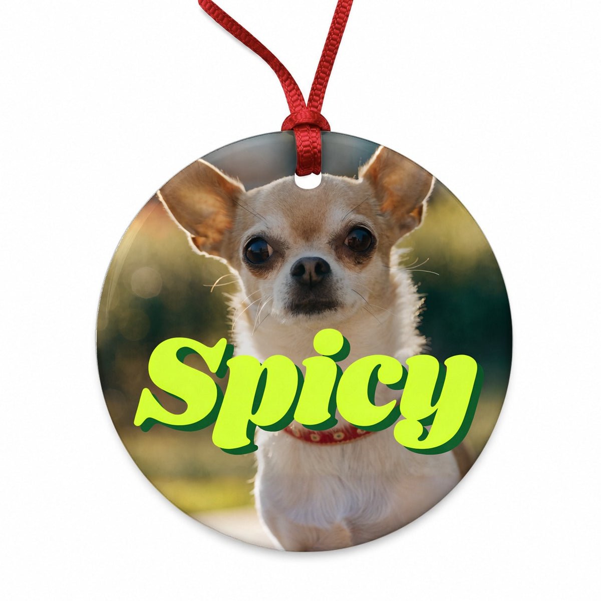 Spicy Chihuahua Dog Funny Round Ceramic Holiday Christmas Tree Ornament