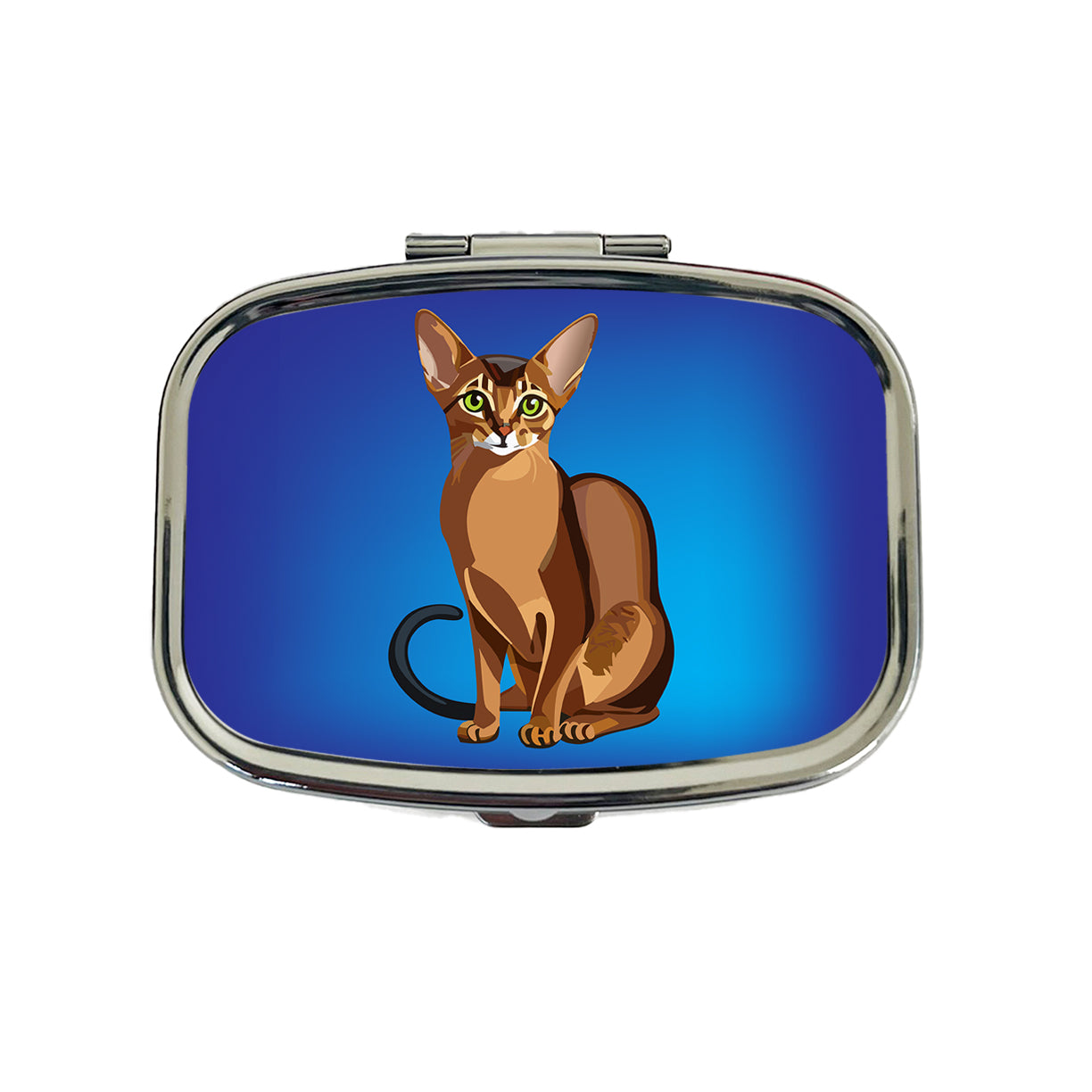 Abyssinian Cat Sitting Travel Pill Box Case