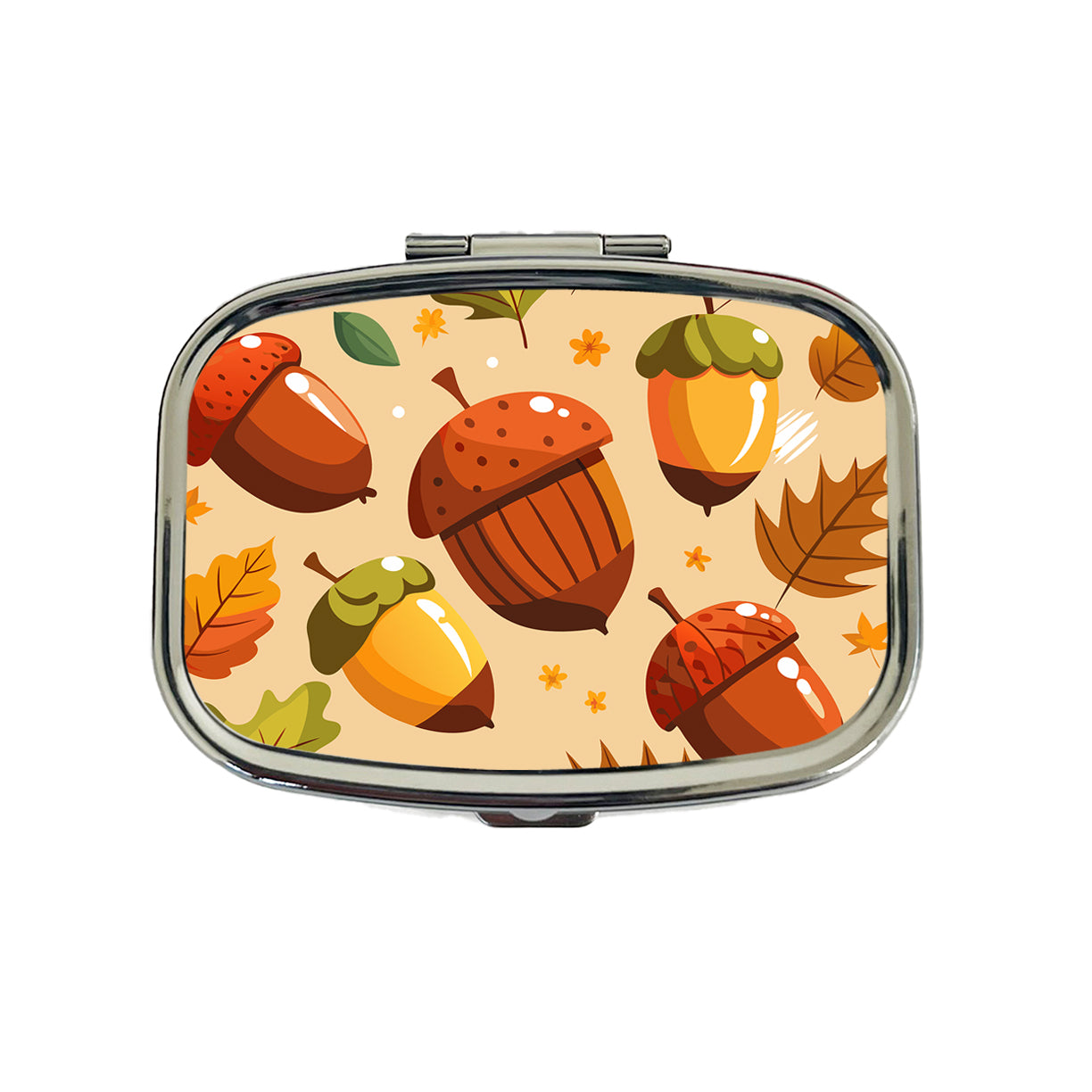 Acorns Scattered Fall Autumn Travel Pill Box Case