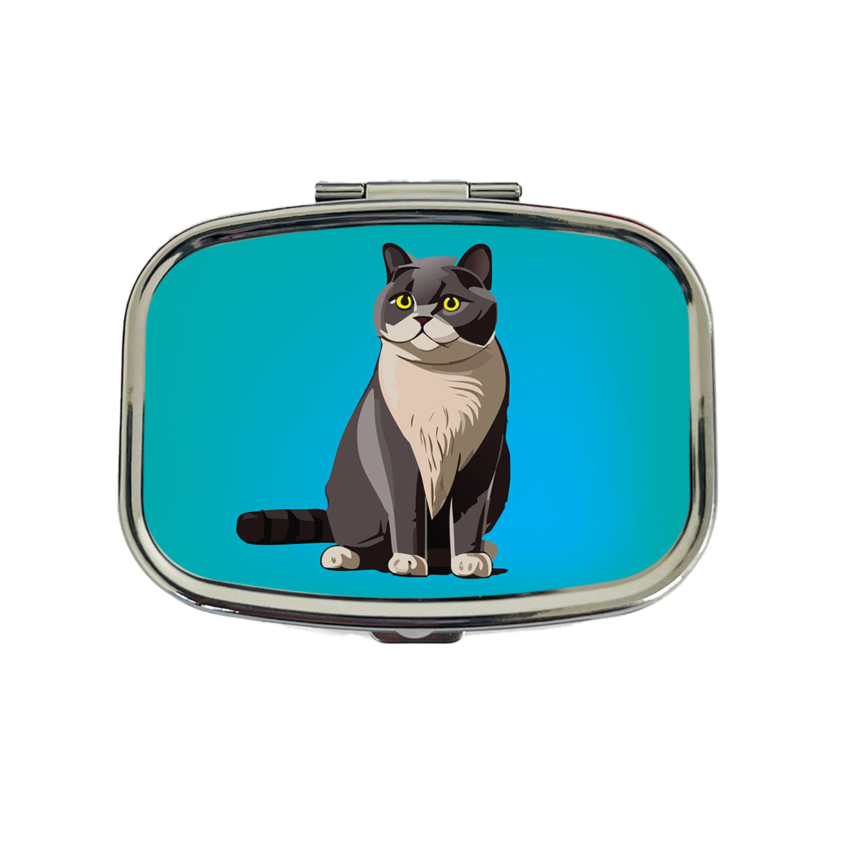 British Shorthair Cat Sitting Travel Pill Box Case