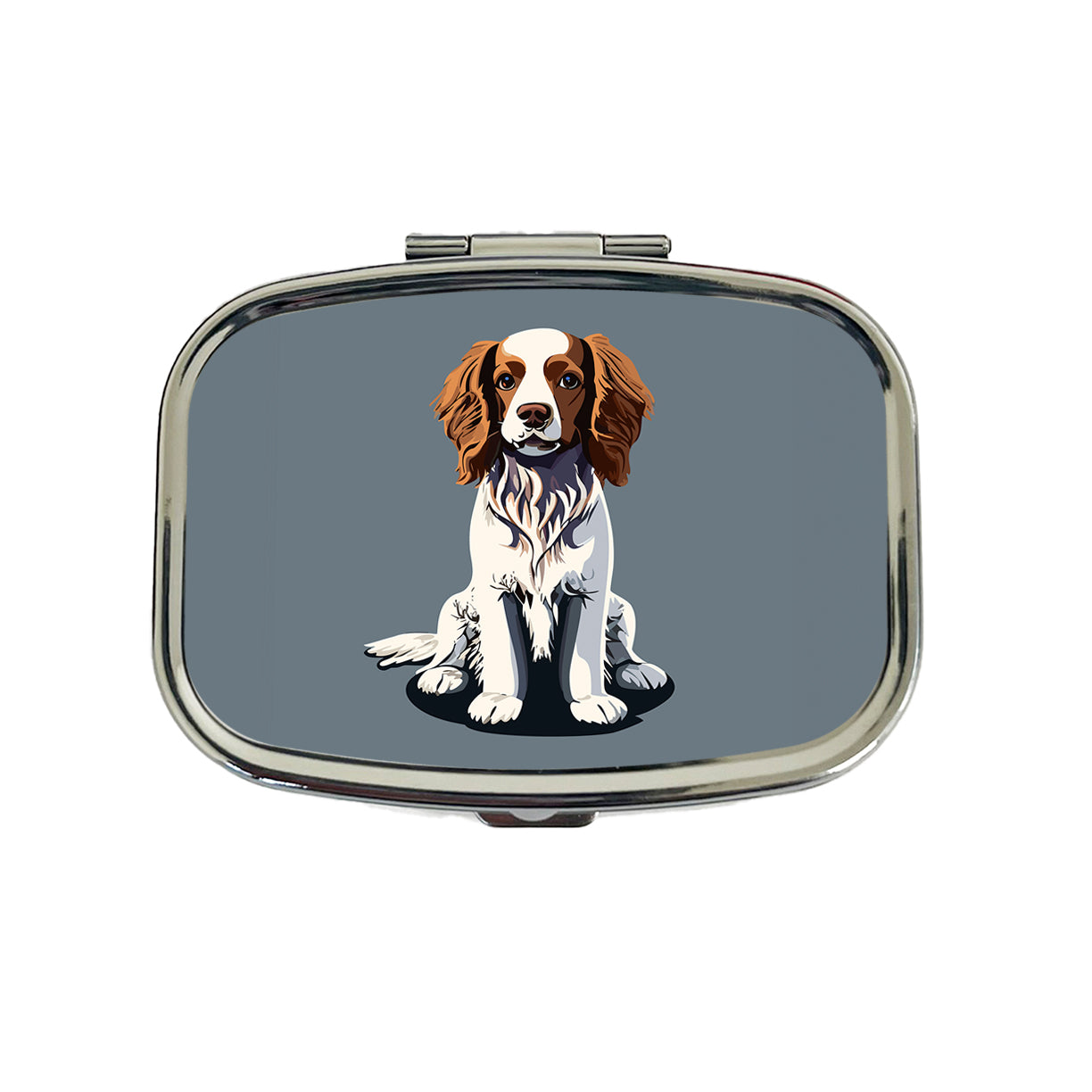 Brittany Spaniel Dog Sitting Travel Pill Box Case