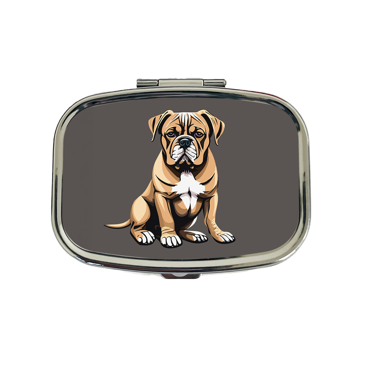Bullmastiff Dog Sitting Travel Pill Box Case