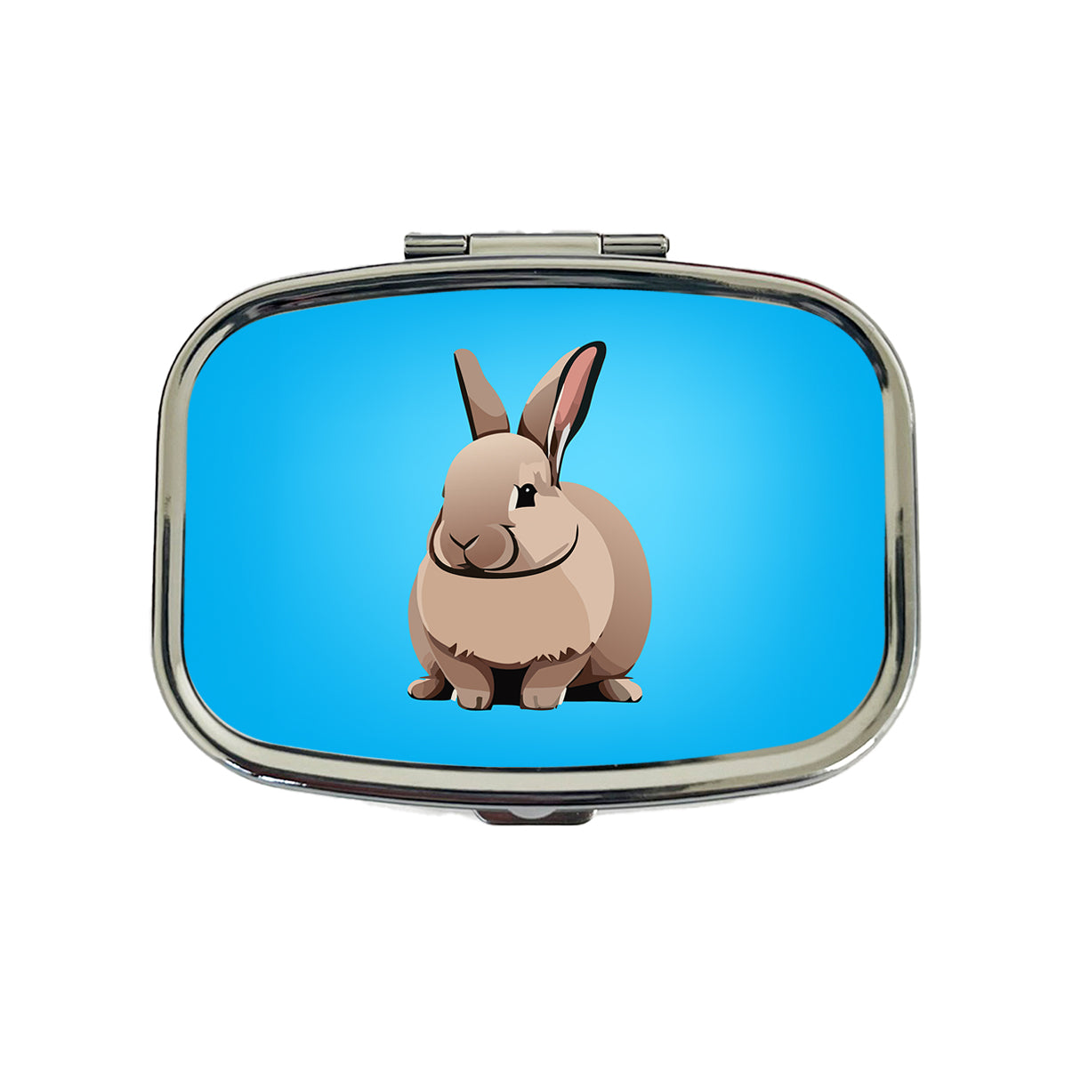 Bunny Rabbit Brown Travel Pill Box Case