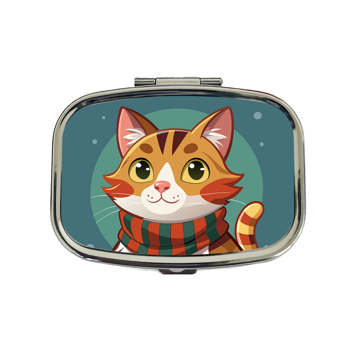 Cat Tabby Wearing Winter Scarf Travel Pill Box Case