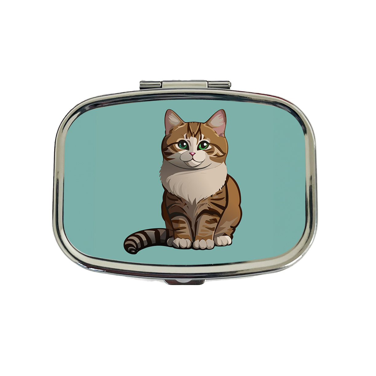 Munchkin Cat Sitting Travel Pill Box Case