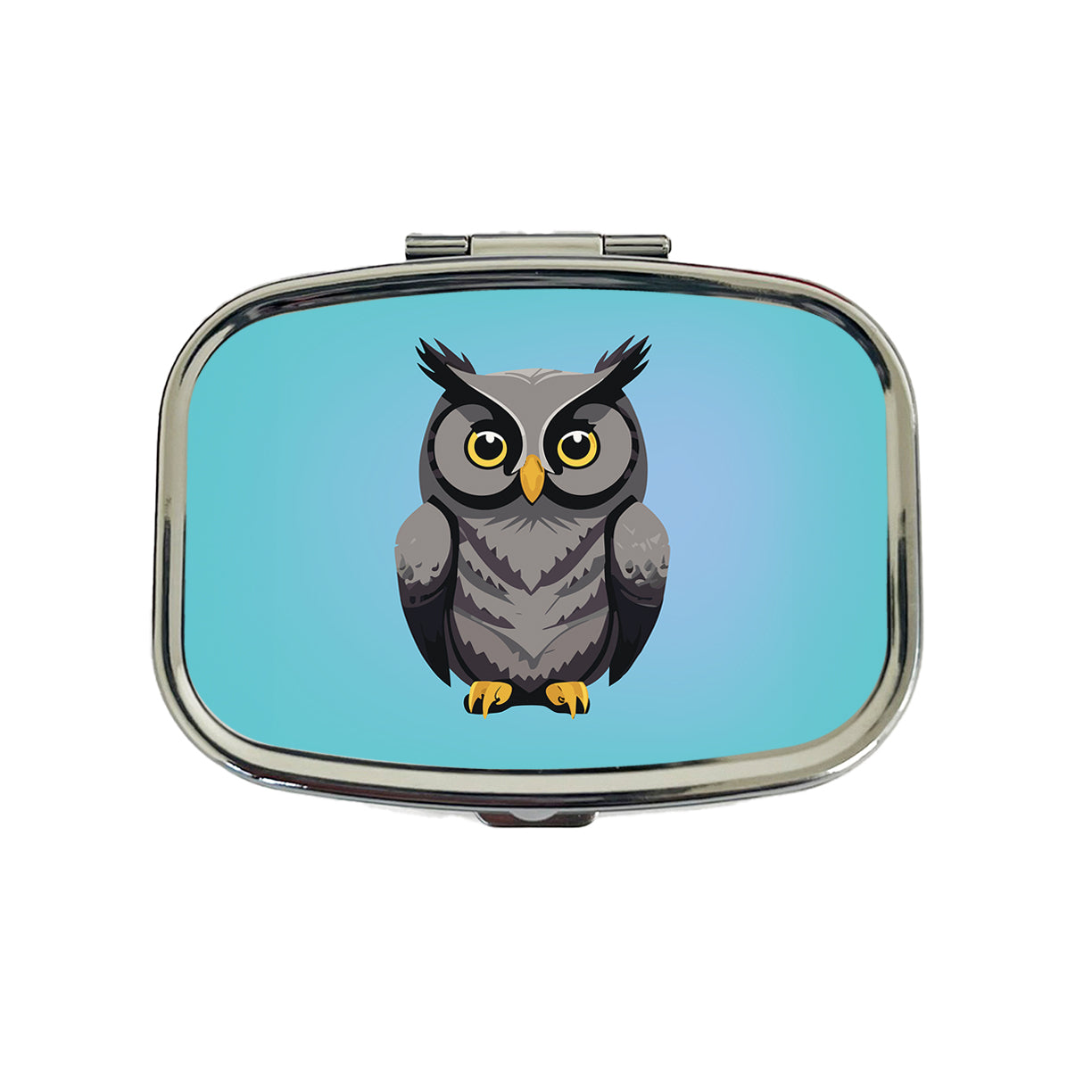 Owl Gray Staring Travel Pill Box Case