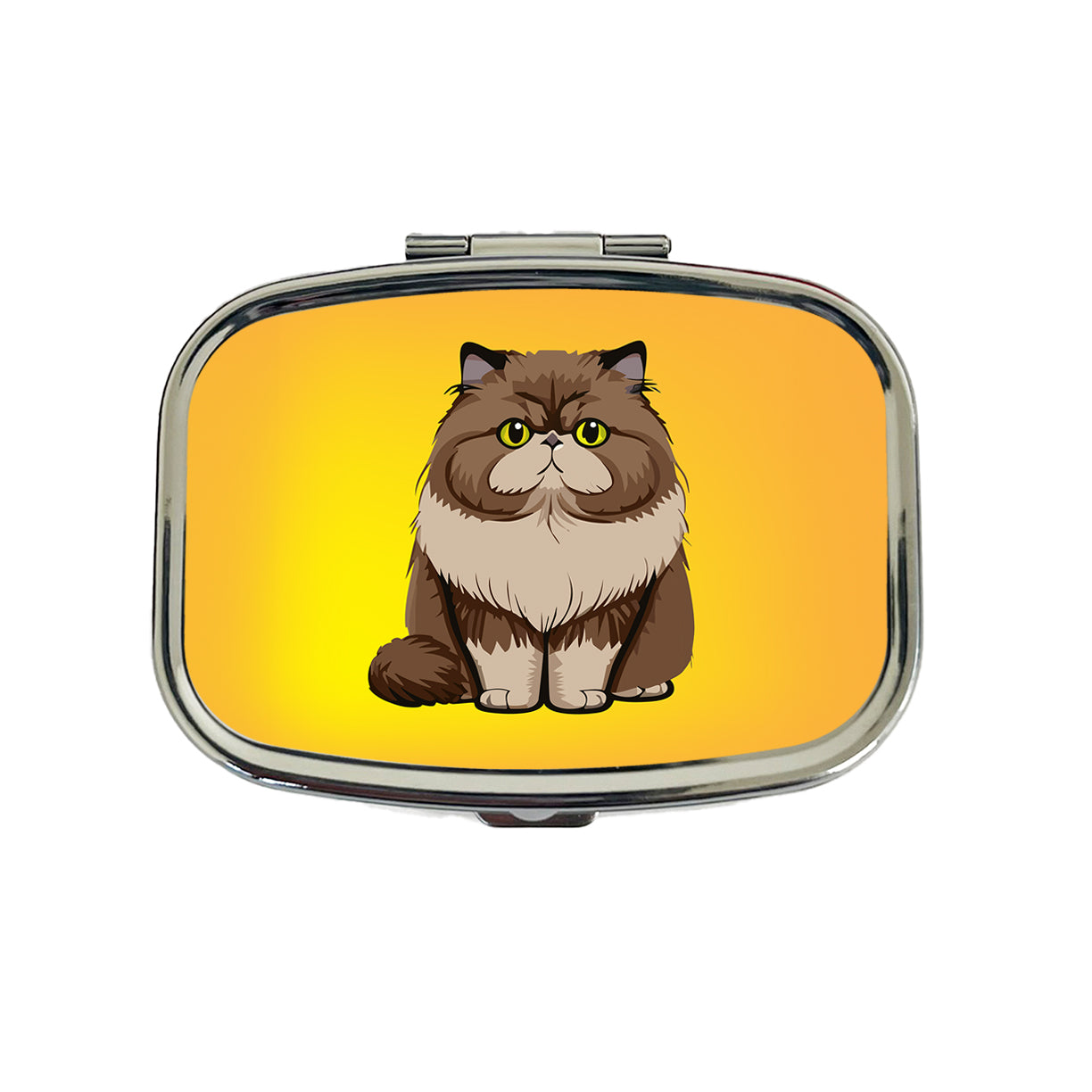 Persian Cat Sitting Travel Pill Box Case