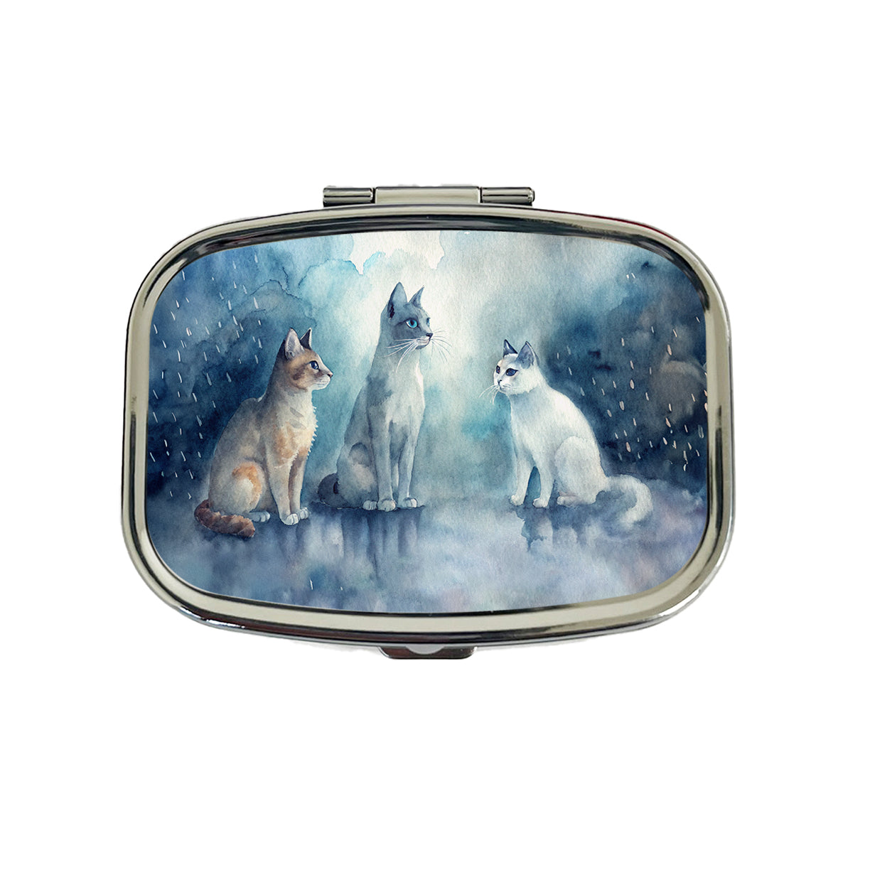 Cats In The Rain Travel Pill Box Case