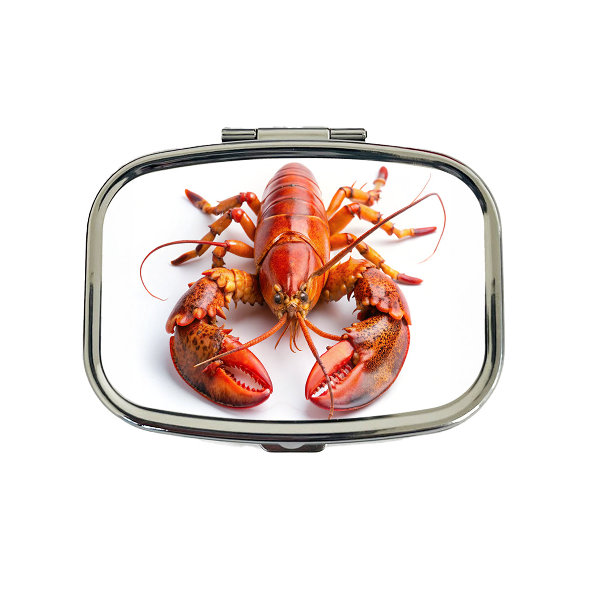 New England Lobster On White Background Travel Pill Box Case