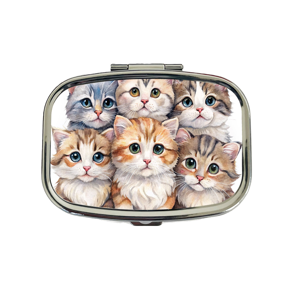 Sweet American Curl Cats Travel Pill Box Case