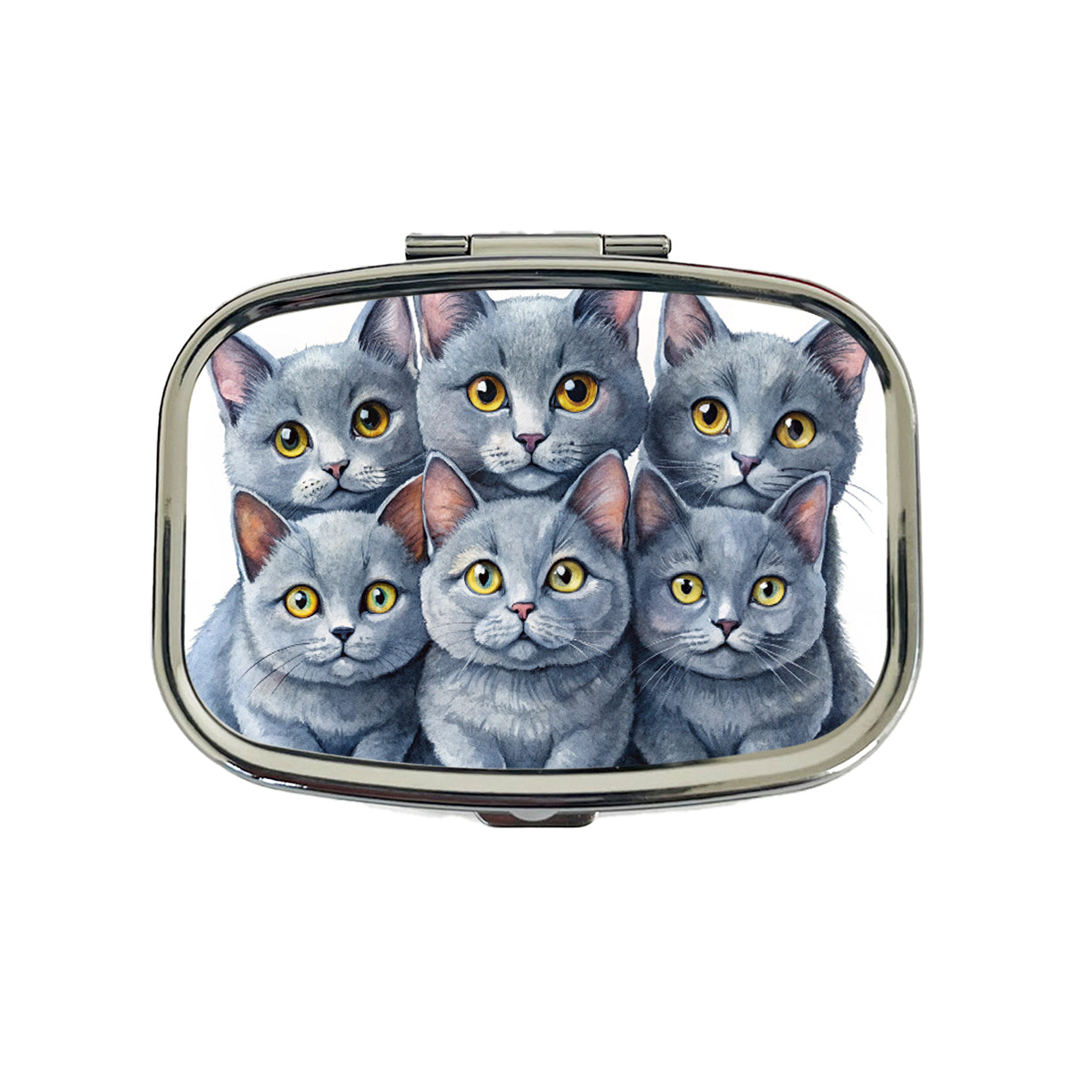 Sweet Chartreux Cats Travel Pill Box Case