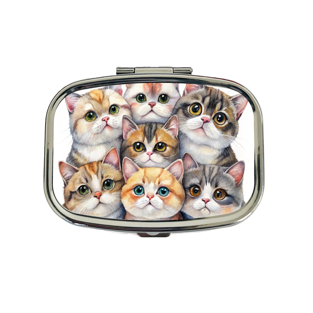 Sweet Exotic Shorthair Cats Travel Pill Box Case