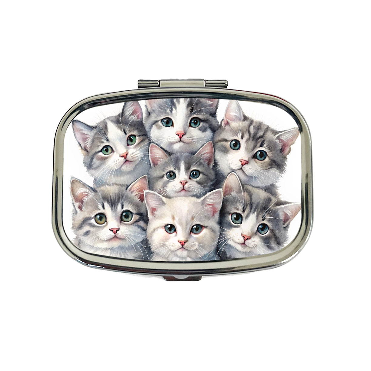 Sweet Gray And White Cats Travel Pill Box Case