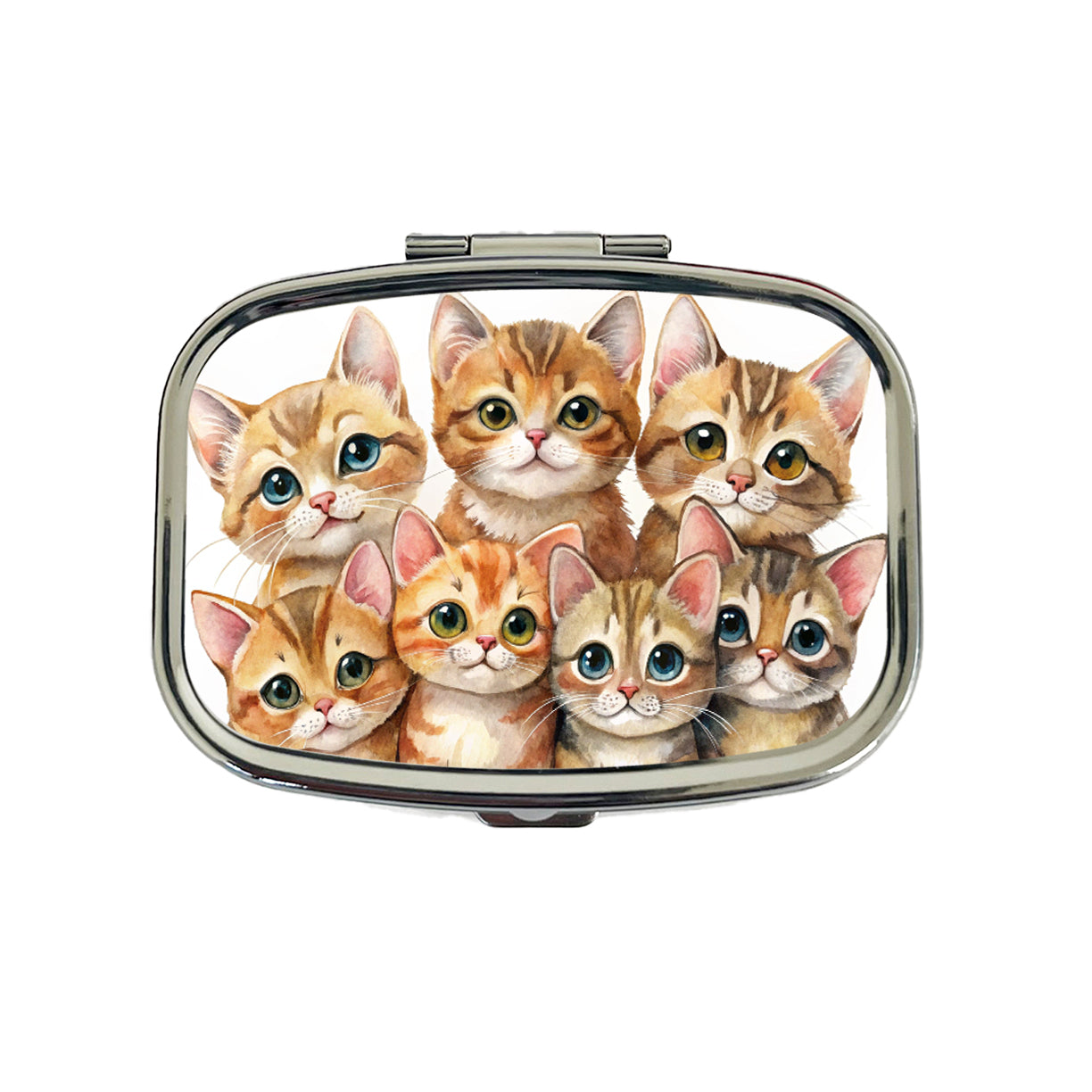 Sweet Havana Brown Cats Travel Pill Box Case
