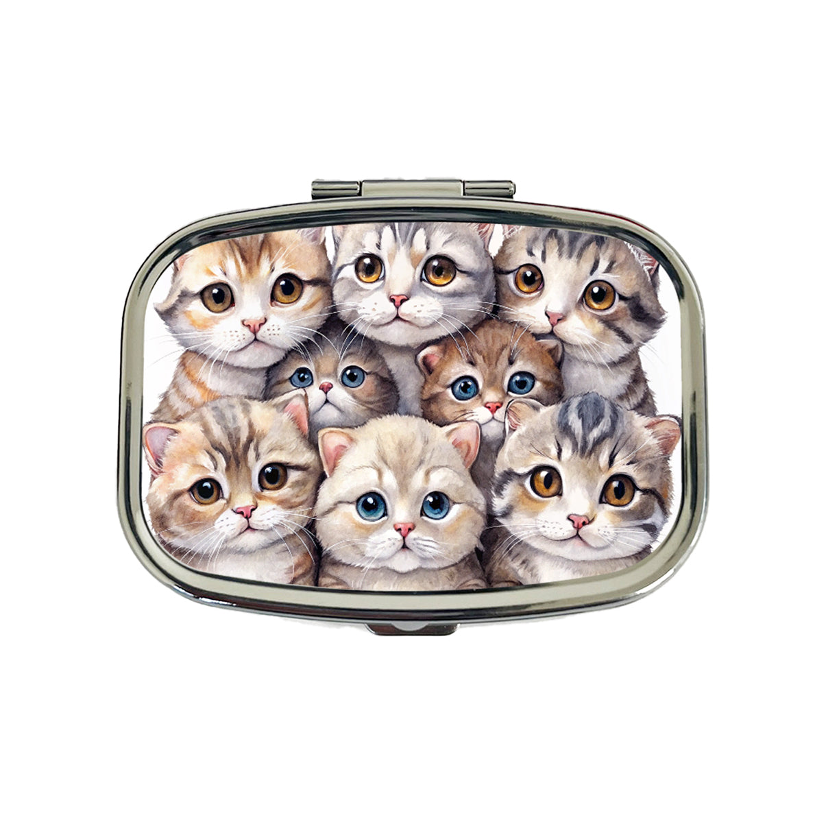 Sweet Scottish Fold Cats Travel Pill Box Case
