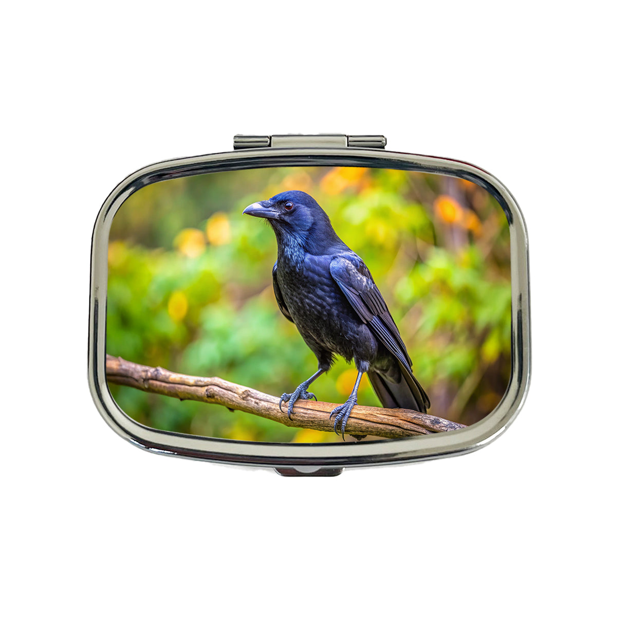 American Black Crow Backyard Bird Travel Pill Box Case