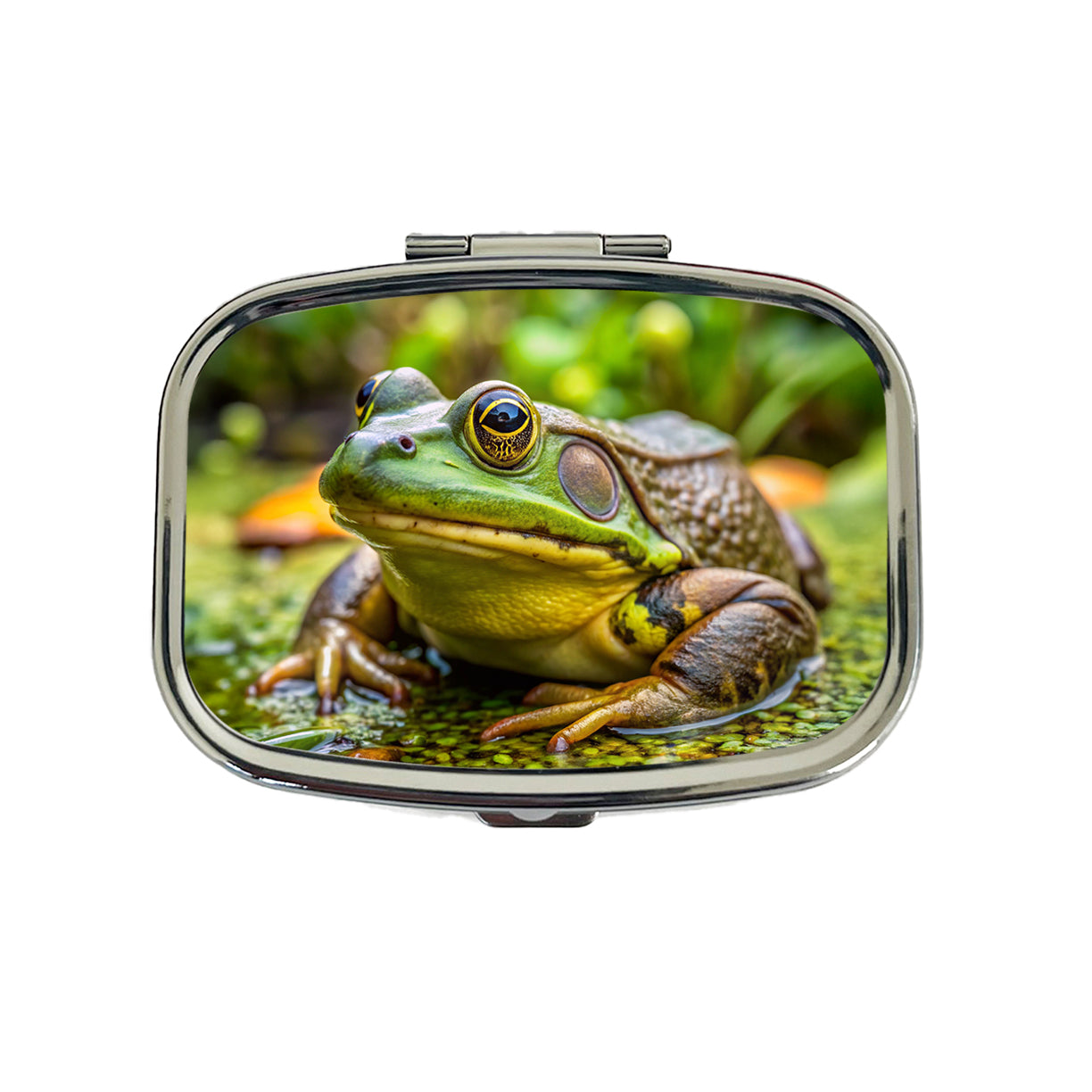 American Bullfrog Travel Pill Box Case