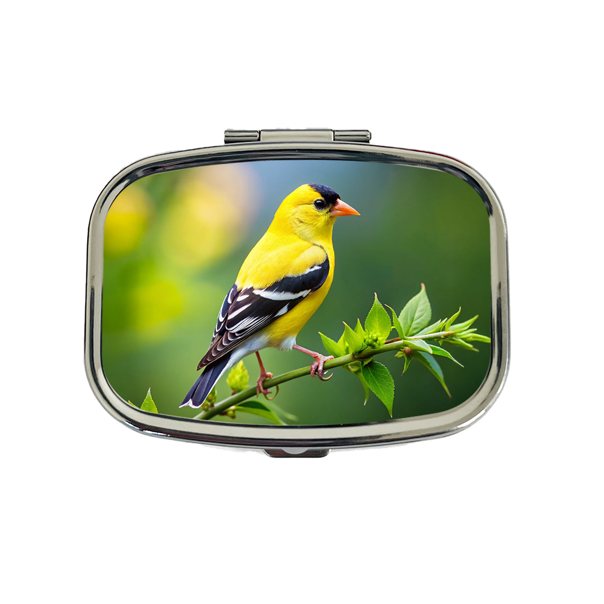 American Goldfinch Backyard Bird Travel Pill Box Case