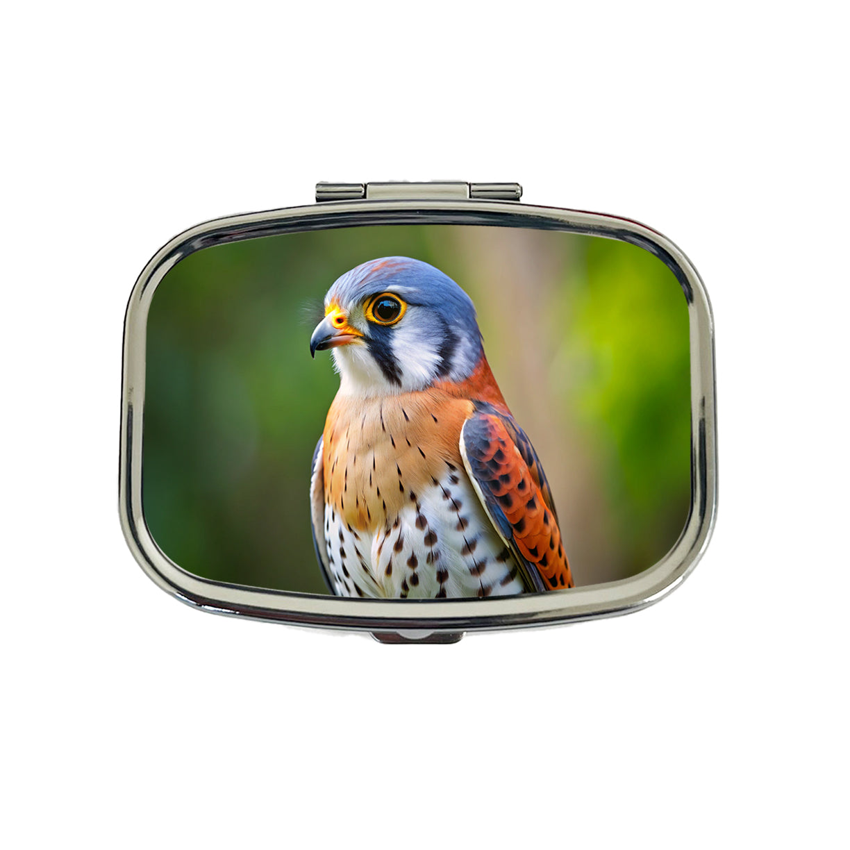 American Kestrel Raptor Bird Of Prey Travel Pill Box Case