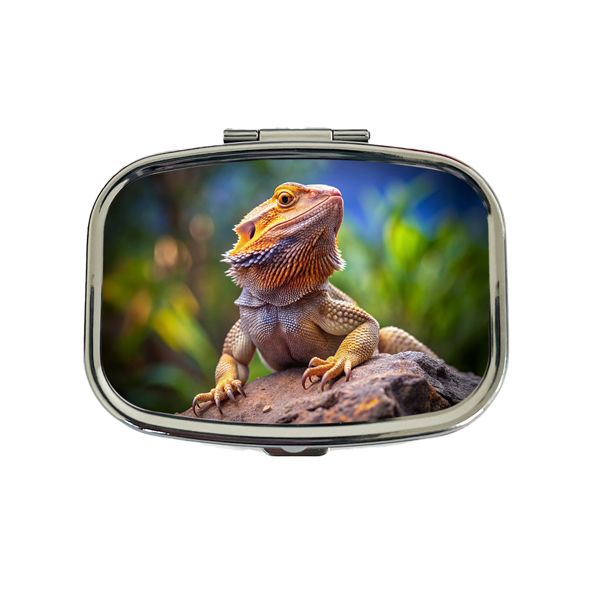 Bearded Dragon Lizard Reptile On Rock Travel Pill Box Case