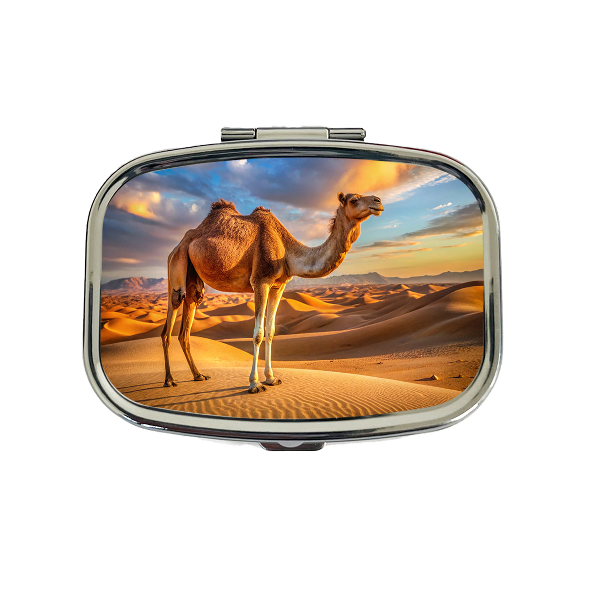 Camel Standing In Desert Travel Pill Box Case