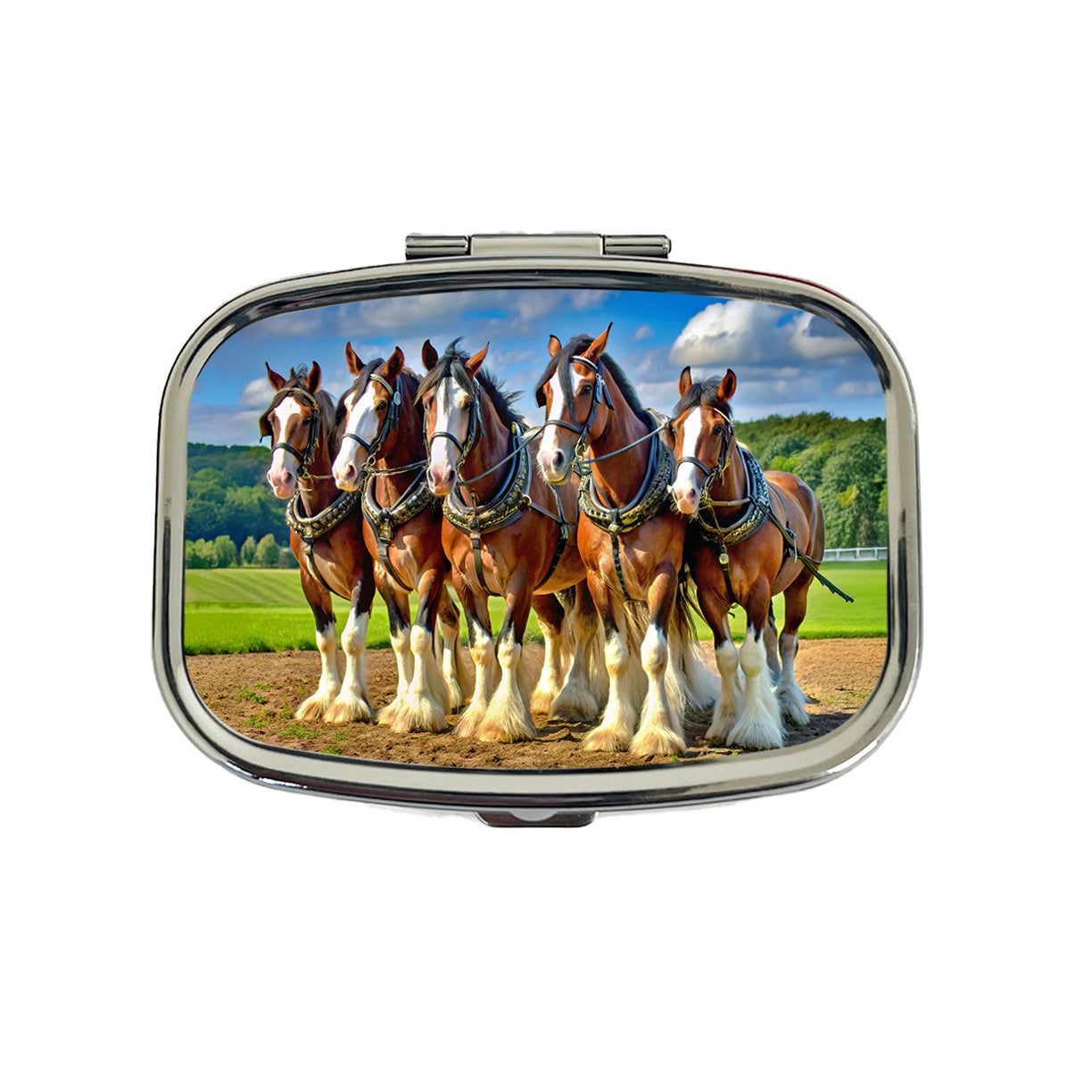 Clydesdale Horses Travel Pill Box Case
