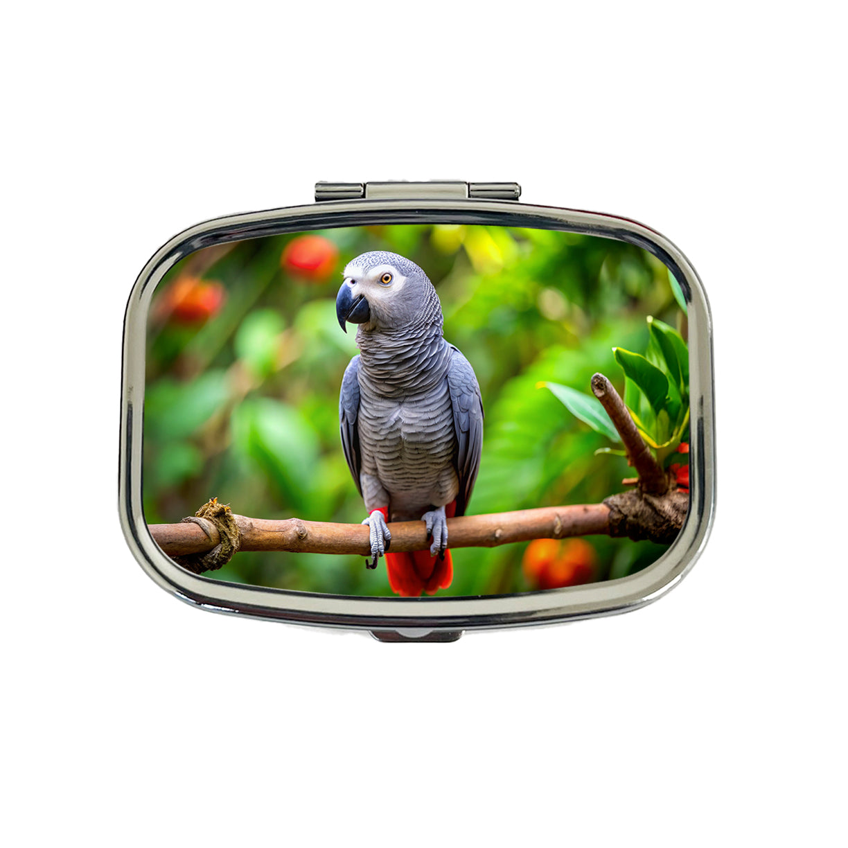 Congo African Grey Parrot Bird On Branch Travel Pill Box Case