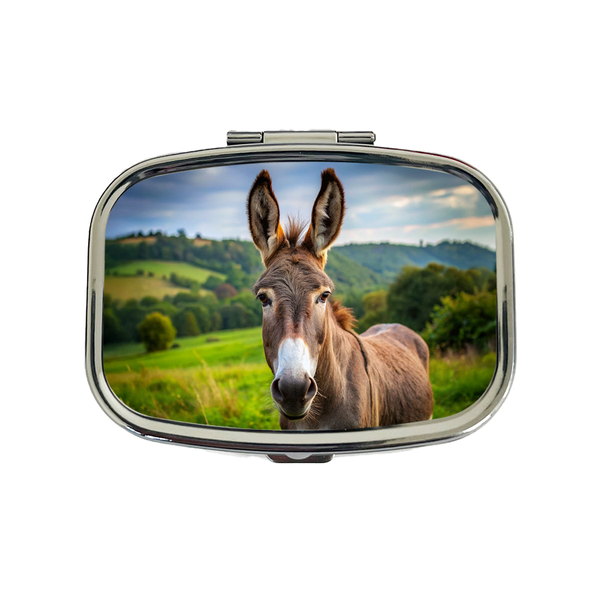 Donkey Travel Pill Box Case