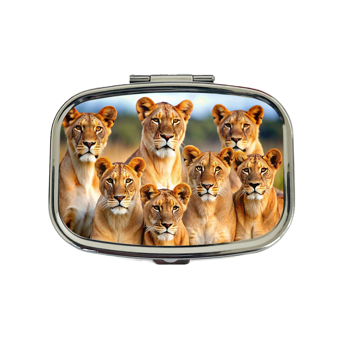Female Lions Travel Pill Box Case