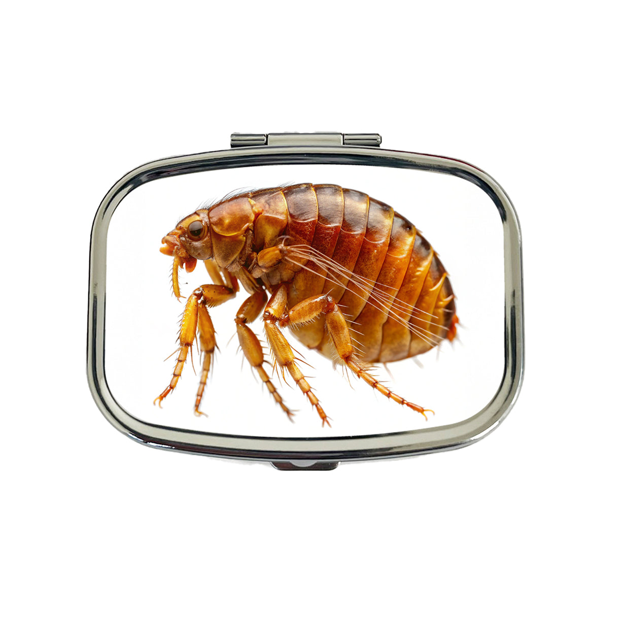 Flea Travel Pill Box Case