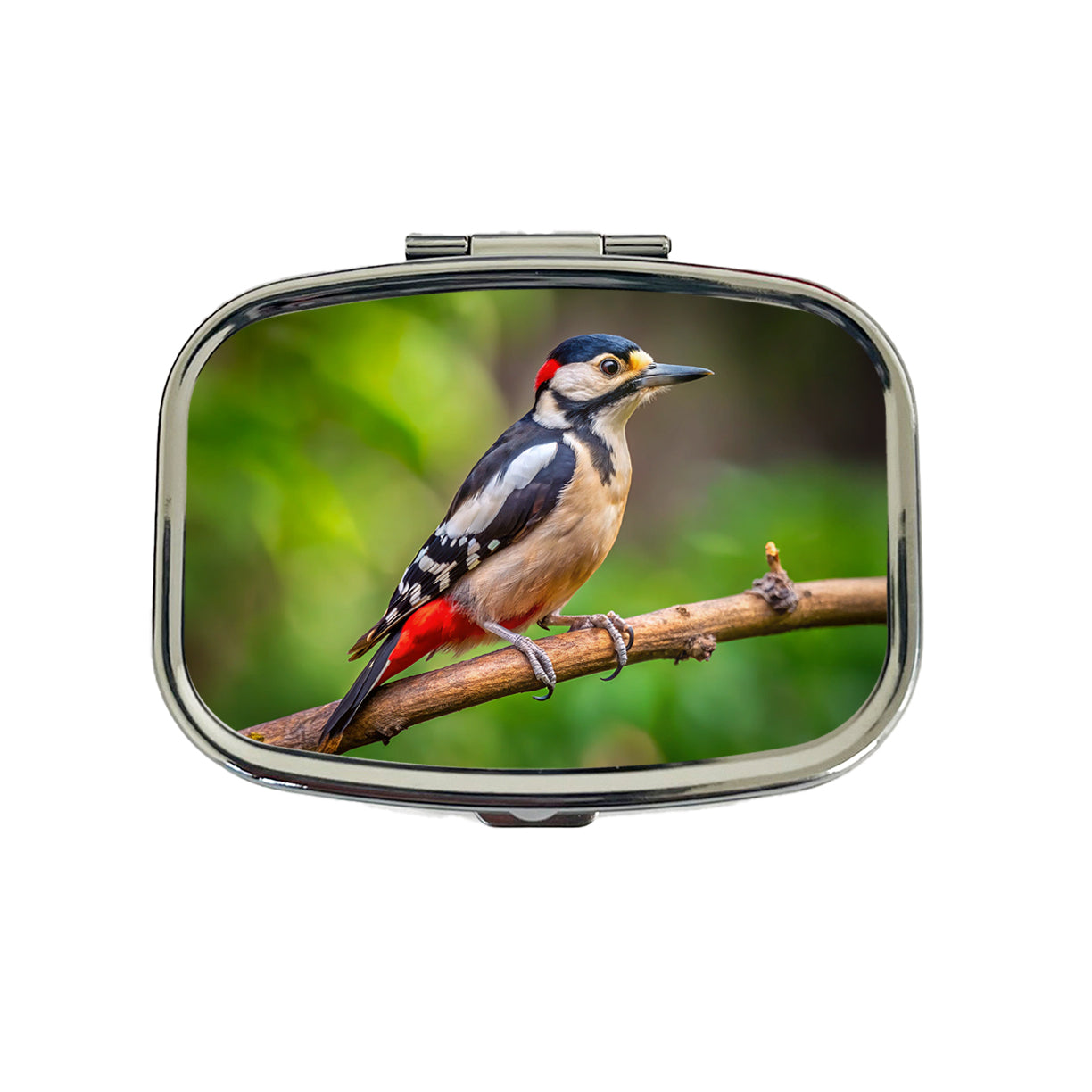 Great Spotted Woodpecker Backyard Bird Travel Pill Box Case