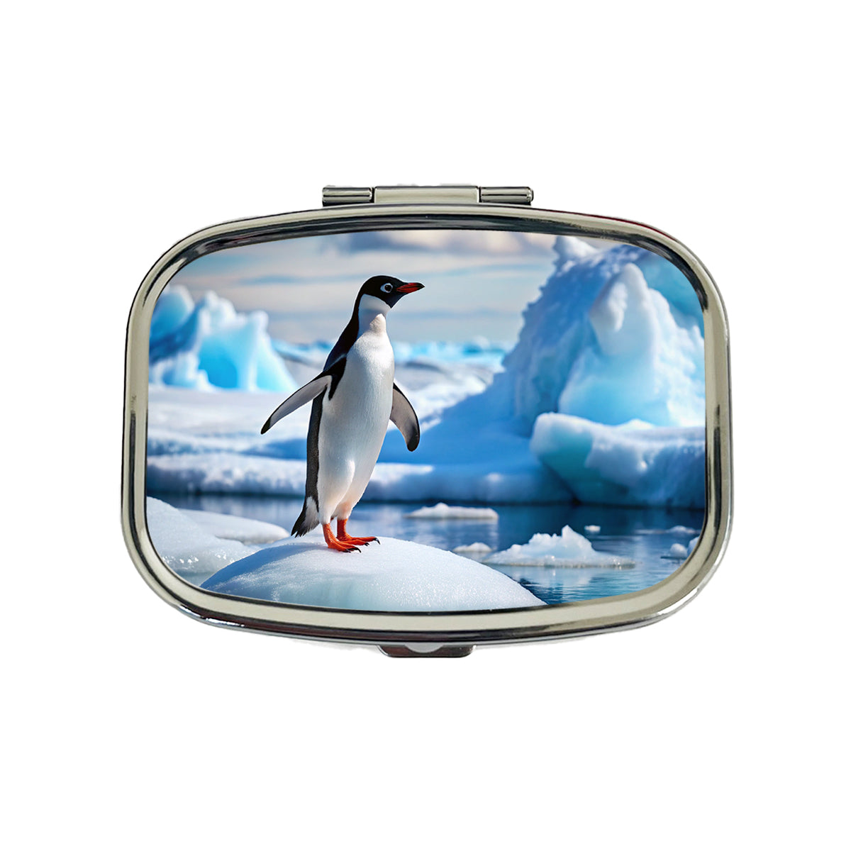 Penguin On Ice Flow Travel Pill Box Case