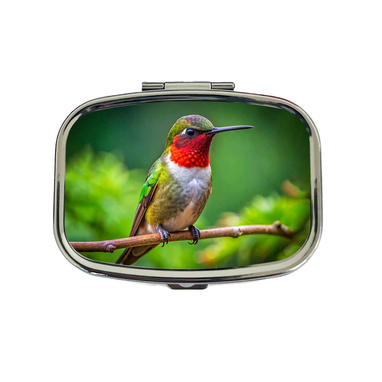 Ruby Throated Hummingbird Backyard Bird Travel Pill Box Case
