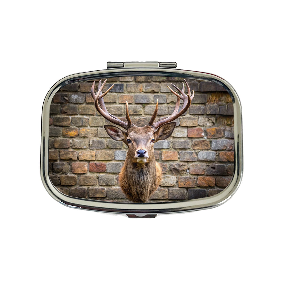 Stag's Head Mounted To Wall Travel Pill Box Case