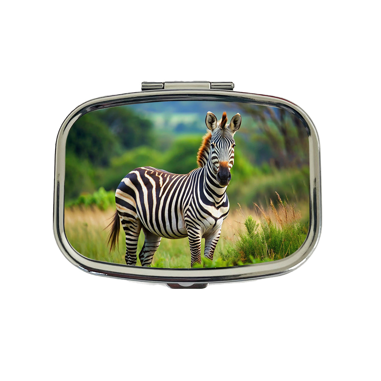 Zebra Travel Pill Box Case
