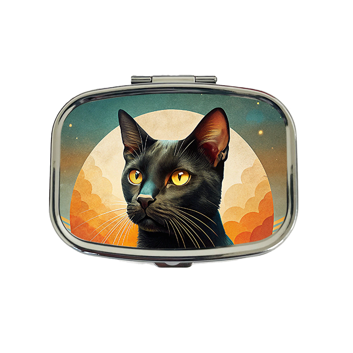 Black Cat Contemporary Art Travel Pill Box Case